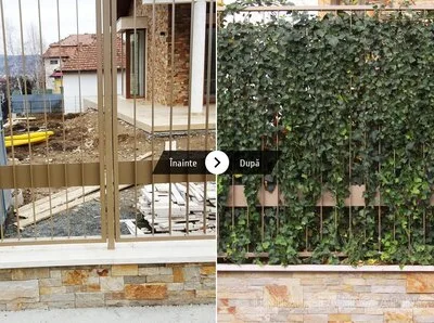 Unique Landscaping