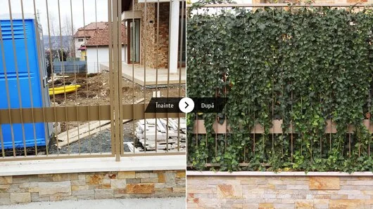 Unique Landscaping