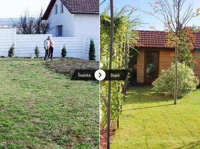 Unique Landscaping