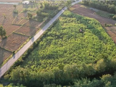 Consultanta imobiliara Bucuresti