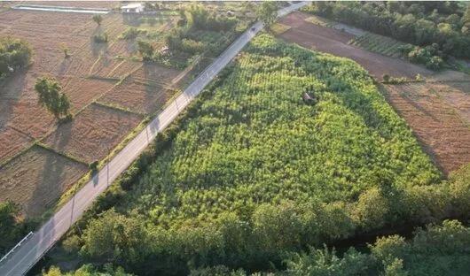 Consultanta imobiliara Bucuresti