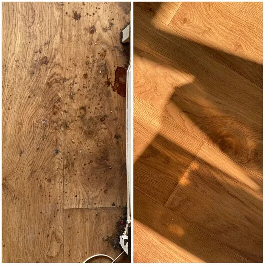 Servicii curatenie - Bucuresti