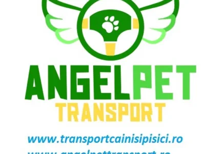 Transport international animale de companie - Bucuresti
