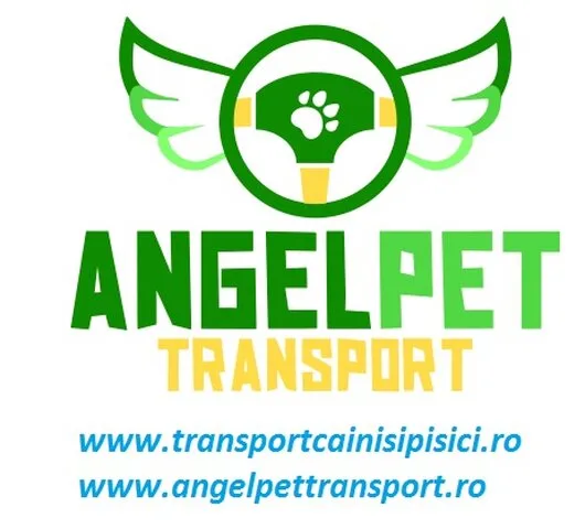 Transport international animale de companie - Bucuresti