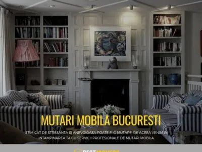 Servicii mutare si depozitare Bucuresti