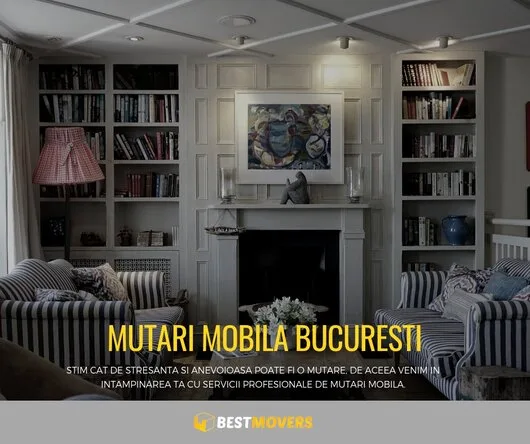 Servicii mutare si depozitare Bucuresti