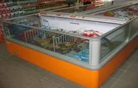 Service in domeniul frigului industrial