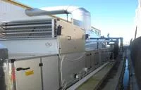 Service in domeniul frigului industrial