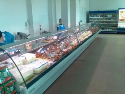 Service in domeniul frigului industrial