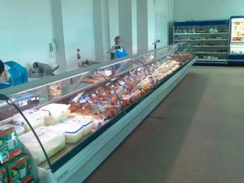 Service in domeniul frigului industrial