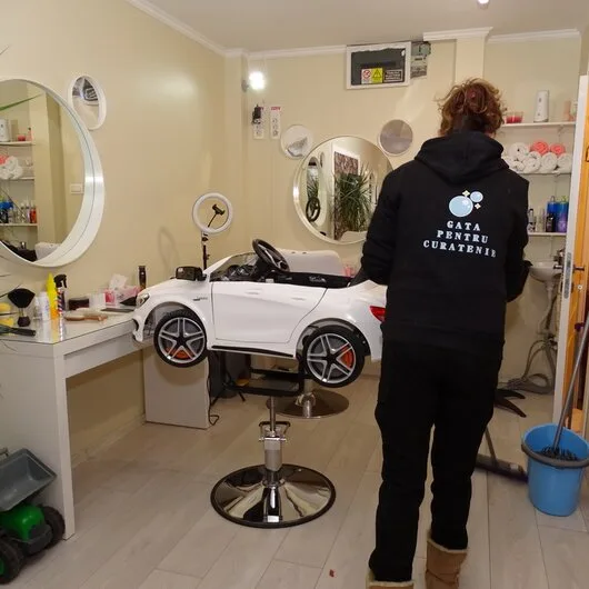 Servicii profesionale personalizate curatenie