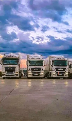Transport rutier intern si international de marfuri - Afumati / Ilfov