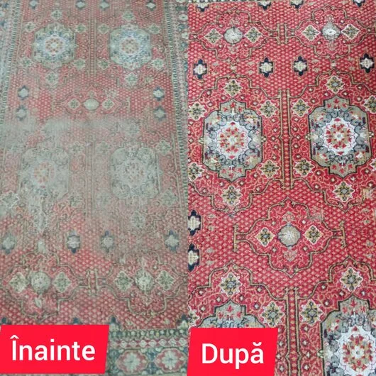 Servicii profesionale de curatenie