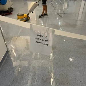 Servicii profesionale de curatenie