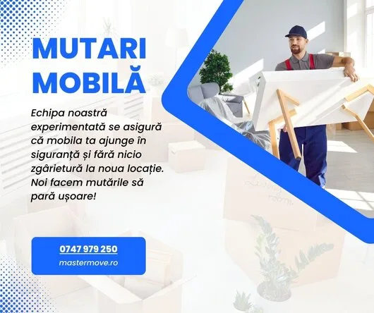 Mutari / Transport Mobila - Debarasari Bucuresti
