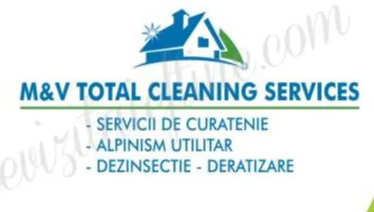 Servicii profesionale de curatenie