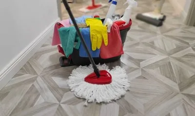 Curatenie profesionala