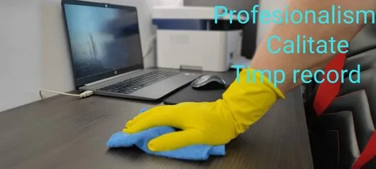 Curatenie profesionala