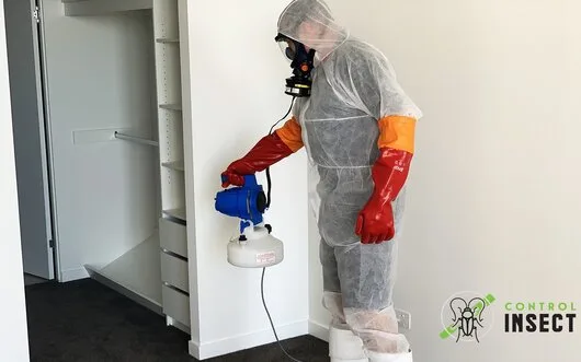 Dezinsectie - deratizare si dezinfectie - Bucuresti