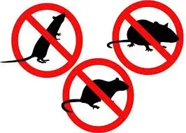 Dezinsectie - deratizare si dezinfectie - Bucuresti