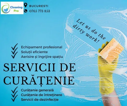 Servicii profesionale de curatenie - Bucuresti si Ilfov