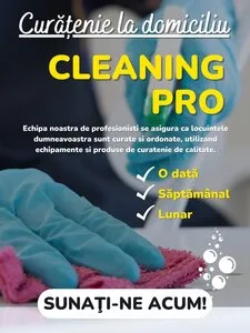 Servicii profesionale de curatenie - Bucuresti si Ilfov
