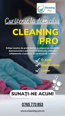 Servicii profesionale de curatenie - Bucuresti si Ilfov