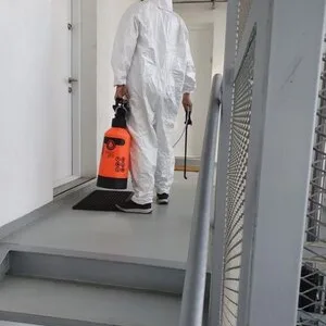 Servicii deratizare - dezinsectie - dezinfectie - Bucuresti