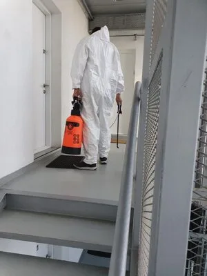 Servicii deratizare - dezinsectie - dezinfectie - Bucuresti