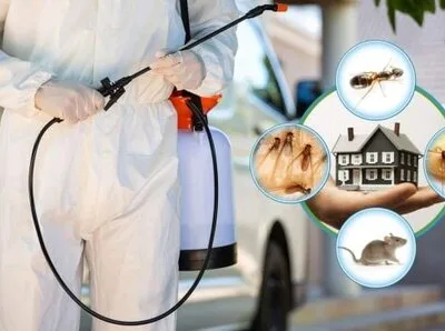 Servicii deratizare - dezinsectie - dezinfectie - Bucuresti