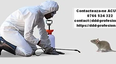 Servicii deratizare - dezinsectie - dezinfectie - Bucuresti