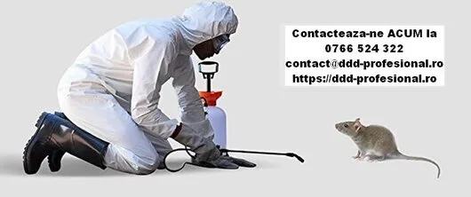 Servicii deratizare - dezinsectie - dezinfectie - Bucuresti