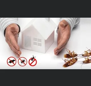 Servicii deratizare - dezinsectie - dezinfectie - Bucuresti