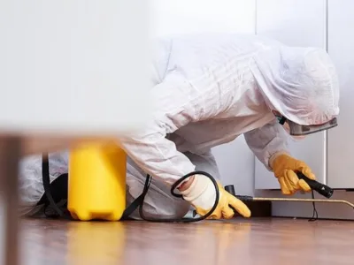 Dezinfectie - deratizare si dezinsectie