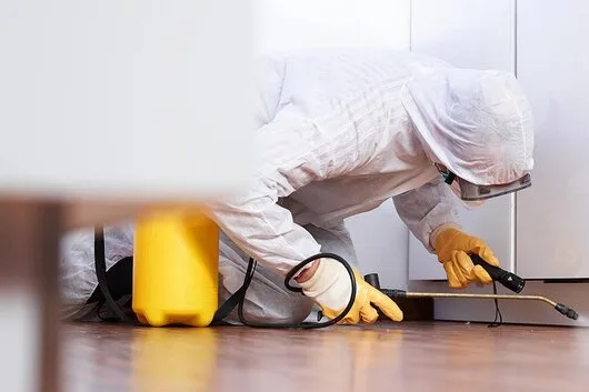 Dezinfectie - deratizare si dezinsectie