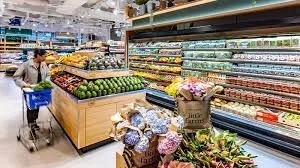 Dezinfectie - deratizare si dezinsectie