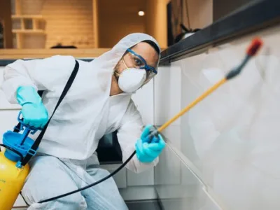 Dezinfectie - deratizare si dezinsectie