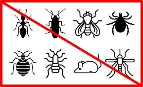 Dezinfectie - deratizare si dezinsectie