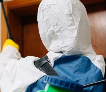 Dezinsectie - Dezinfectie si Deratizare - Bucuresti