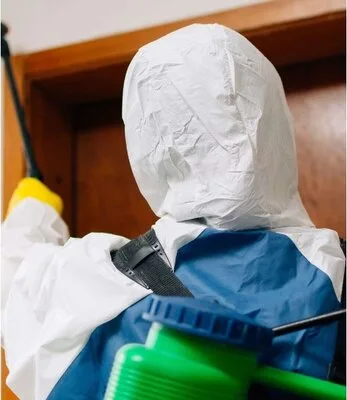 Dezinsectie - Dezinfectie si Deratizare - Bucuresti