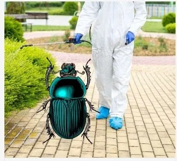 Dezinsectie - Dezinfectie si Deratizare - Bucuresti