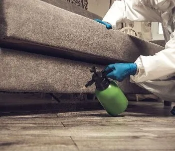 Dezinsectie - Dezinfectie si Deratizare - Bucuresti