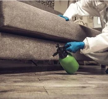 Dezinsectie - Dezinfectie si Deratizare - Bucuresti