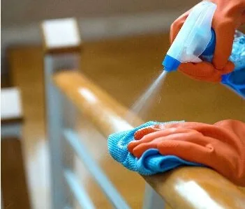 Dezinsectie - Dezinfectie si Deratizare - Bucuresti