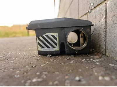 Dezinsectie - Dezinfectie si Deratizare - Bucuresti