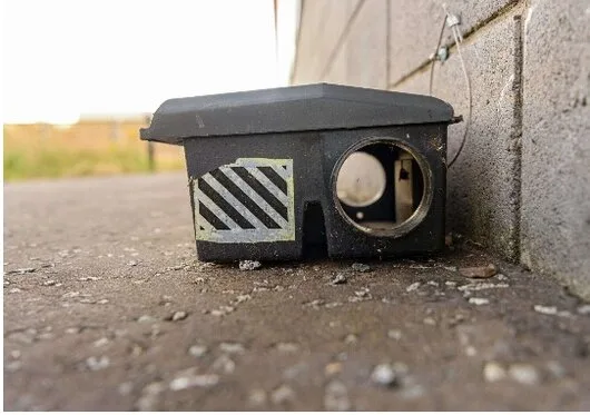 Dezinsectie - Dezinfectie si Deratizare - Bucuresti