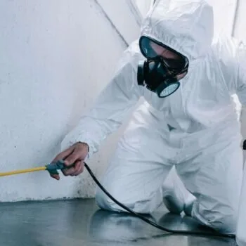 Dezinsectie - Dezinfectie si Deratizare - Bucuresti