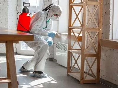 Dezinsectie - Dezinfectie si Deratizare - Bucuresti