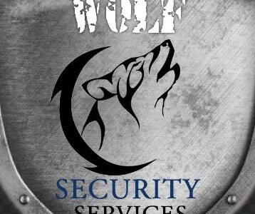 Sisteme de securitate