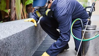 Servicii DDD Bucuresti